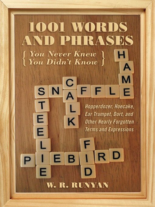 Cover image for 1,001 Words and Phrases You Never Knew You Didn't Know